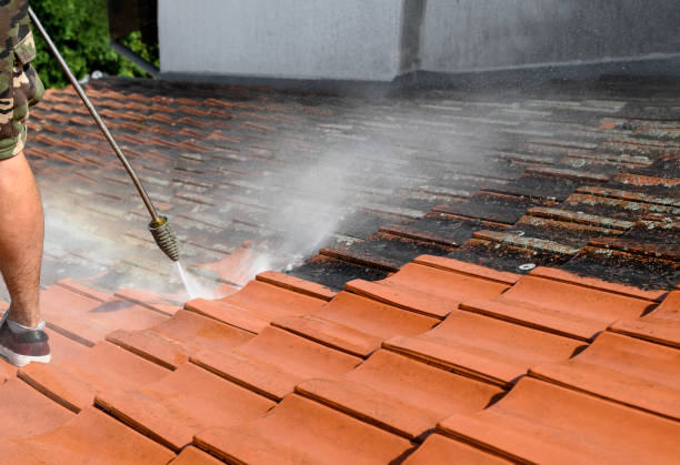 Best House Pressure Washing  in New Market, TN