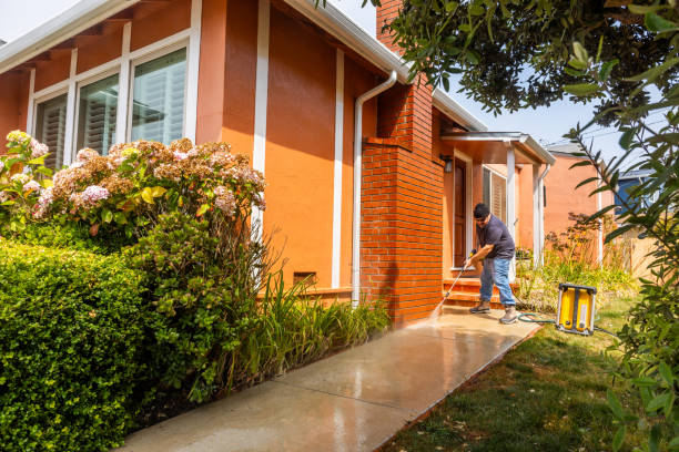 Best Commercial Building Pressure Washing  in New Market, TN