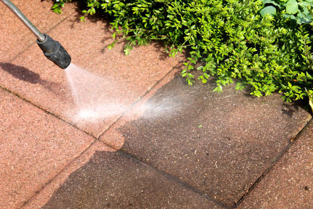 Best Exterior Home Cleaning  in New Market, TN